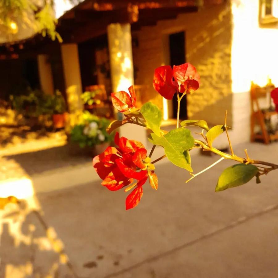 La Montana Bed and Breakfast Cafayate Eksteriør billede